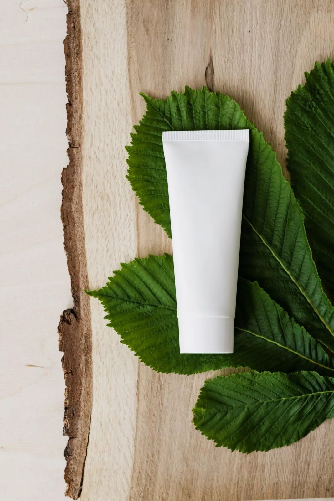 White sunscreen tube on green leaves